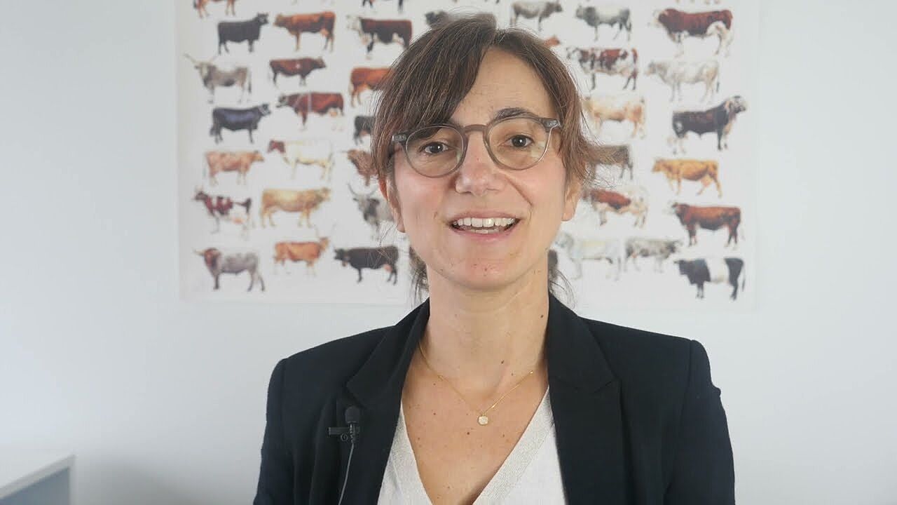 Tendances oct 2025 conjoncture viande bovine