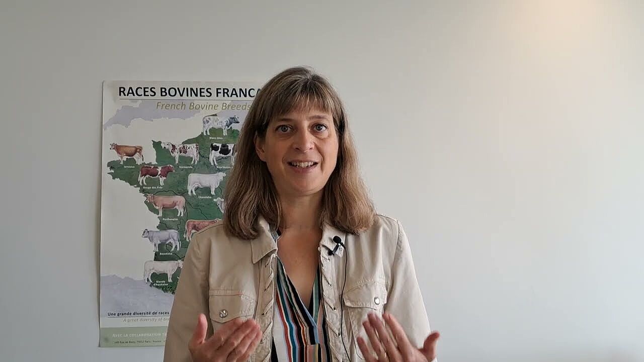 Tendances L&V octobre 2026 conjoncture viande bovine